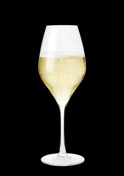 Rosendahl Premium Champagneglas 37 cl klar 2 stk. | Køb her